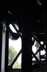 Photo de Doriane Metz: Moulures du Pont Alexandre III