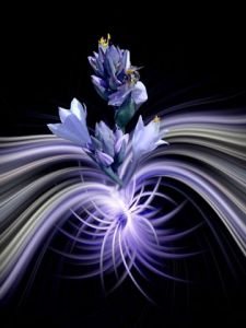 Photo de Dreams 14: Passion secrète