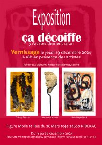 Ca décoiffe ! 3 artistes tiennent salon