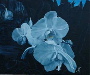 Voir cette oeuvre de christine gullace: orchidées noire blanche