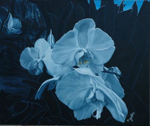 L'artiste christine gullace - orchidées noire blanche
