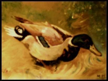 L'artiste marc machin - portrait d'un canard