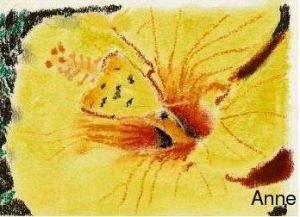 Dessin de paradisianna: Fleur jaune