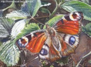 Artiste J-C Saint-Po