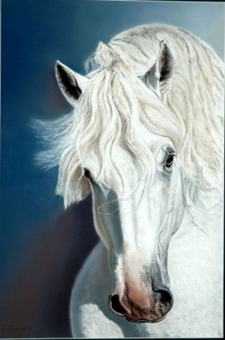 L'artiste Francoise BRUN - cheval blanc