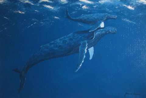 le baleineau - Peinture - lajubarte