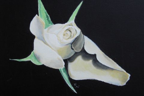 Fleur coquillage - Peinture - Virginie Wibaux