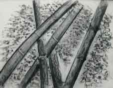 L'artiste ATELIER FABLOR - les bambous noirs