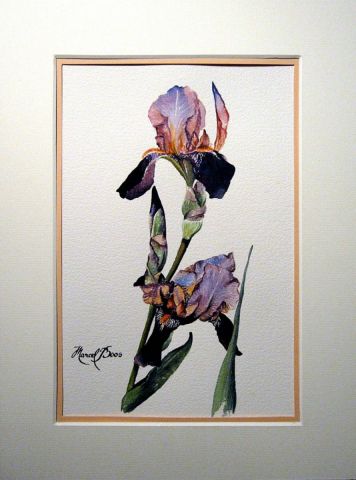 Iris - Peinture - Marcel BOOS