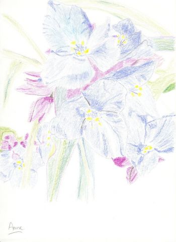 Fleurs bleues - Dessin - paradisianna