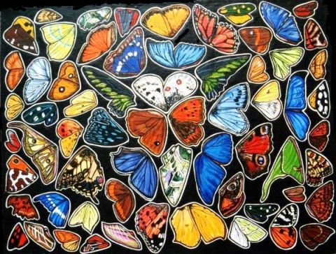 Papillons - Peinture - Chloe Yzoard
