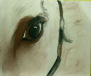 Peinture de anne-sophie valepin: oeil cheval 2
