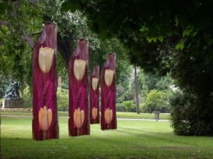 Artiste aazclairicia