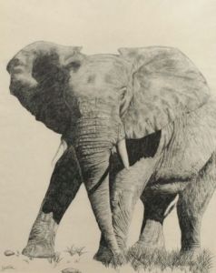 Voir cette oeuvre de Gaelle: la grace de l'elephant