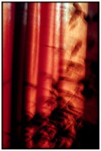 Artiste Dominique Lefevre