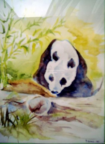 L'artiste silvia hohl - panda