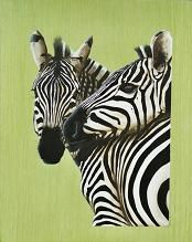 L'artiste katia - zebres