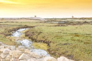 Artiste Herve Belhaire