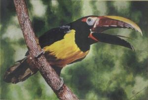 Voir le détail de cette oeuvre: Aracari vert