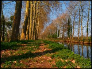 Photo de Peexels: Le Canal