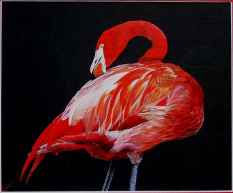 L'artiste Gines - flamand rouge de Floride