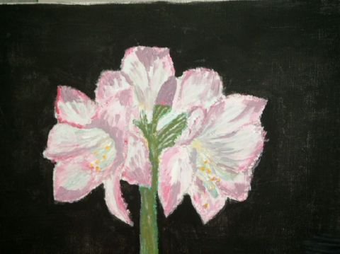 L' amaryllis - Peinture - florence