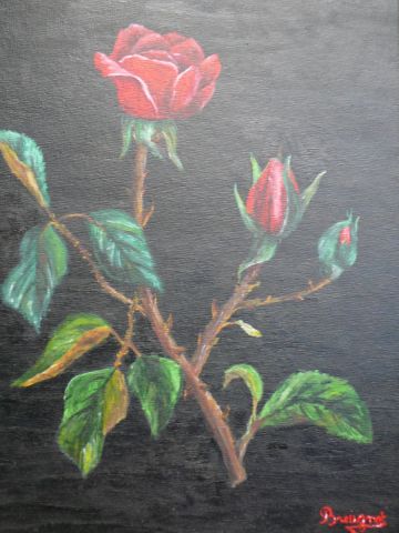 La Rose - Peinture - antares58