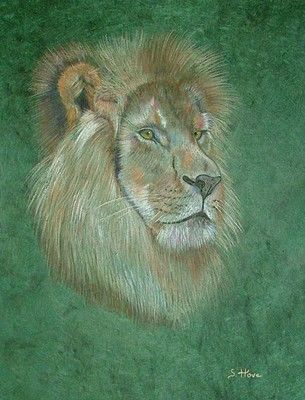 lion - Peinture - Sophie Hove