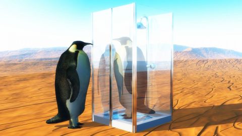 L'artiste Cactus42 - Les manchots L'artiste Cactus42 - Les manchots