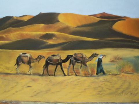 L'artiste Gina MORO-MOUETTE - Desert dans le sud marocain
