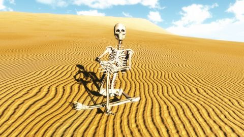 patience - Art numerique - Cactus42 patience - Art numerique - Cactus42