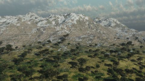 L'artiste Cactus42 - Printemps L'artiste Cactus42 - Printemps