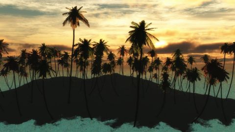 Reve d'ile - Art numerique - Cactus42 Reve d'ile - Art numerique - Cactus42