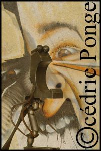 L'artiste Cedric PONGE - La rage de l'expression