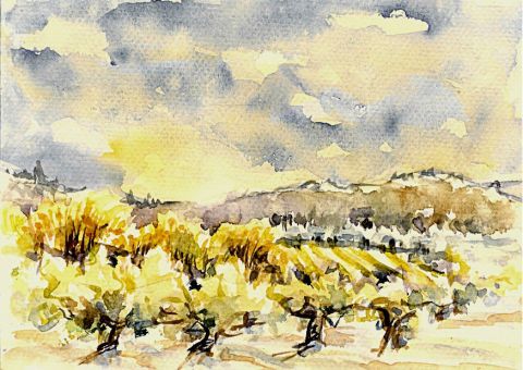 Provence - Peinture - nicole olivieri