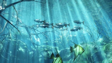 Fonds marins-2 - Art numerique - Cactus42 Fonds marins-2 - Art numerique - Cactus42