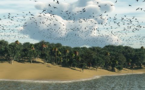 Le long de la plage - Art numerique - Cactus42 Le long de la plage - Art numerique - Cactus42