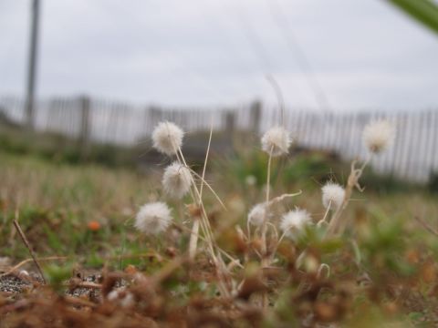 Photo : olympia Photo : olympia