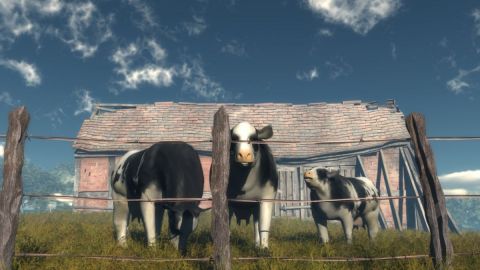 Matin d'ete - Art numerique - Cactus42 Matin d'ete - Art numerique - Cactus42