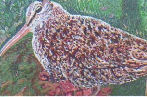 Artiste jeanninemarie