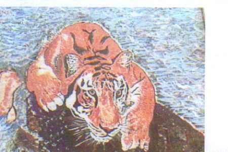 L'artiste jeanninemarie - le tigre