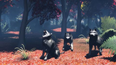 L'artiste Cactus42 - Forets d'automne L'artiste Cactus42 - Forets d'automne