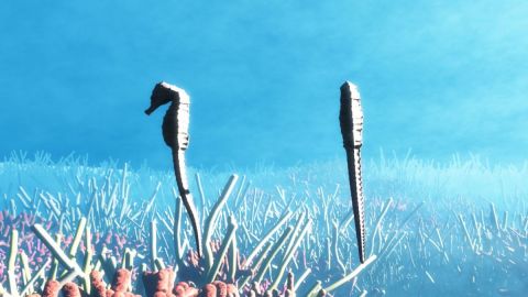 L'artiste Cactus42 - Hippocampes L'artiste Cactus42 - Hippocampes