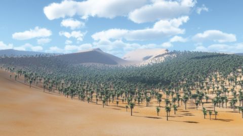 Oasis_1 - Art numerique - Cactus42 Oasis_1 - Art numerique - Cactus42