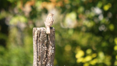 Photo : olympia Photo : olympia