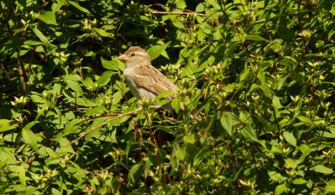 Photo : olympia Photo : olympia