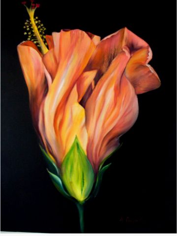 hibisus matin - Peinture - cuquel