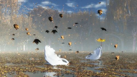 Le lac des cygnes - Art numerique - Cactus42 Le lac des cygnes - Art numerique - Cactus42