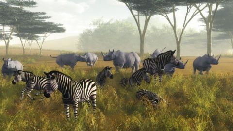 L'artiste Cactus42 - Afrique_2 L'artiste Cactus42 - Afrique_2