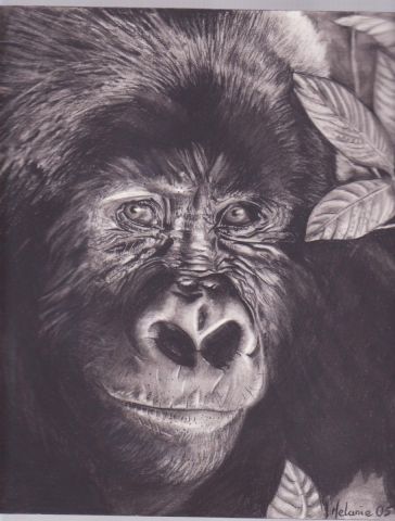 L'artiste Melanie - gorille